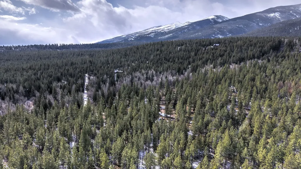 1065 Bear Creek Trail Victor MT 59875