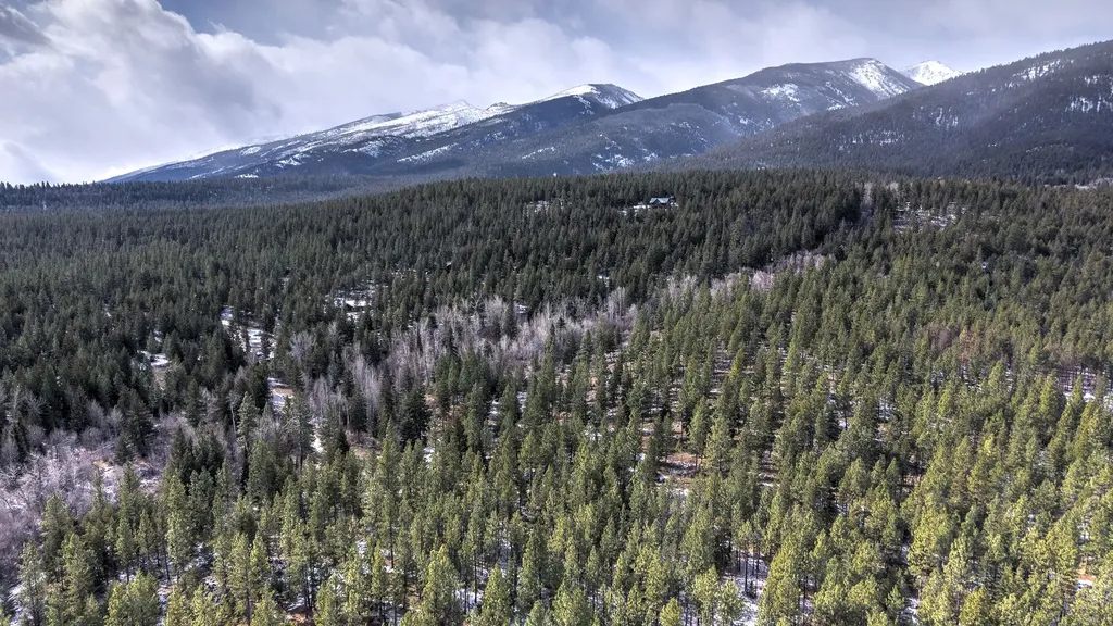 1065 Bear Creek Trail Victor MT 59875