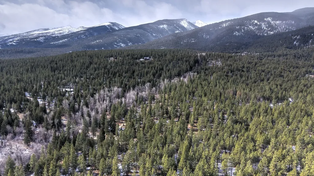 1065 Bear Creek Trail Victor MT 59875
