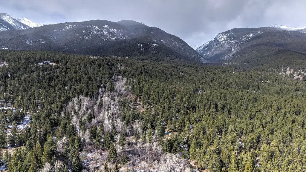 1065 Bear Creek Trail Victor MT 59875