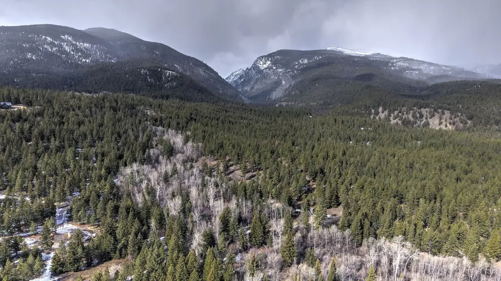 1065 Bear Creek Trail Victor MT 59875