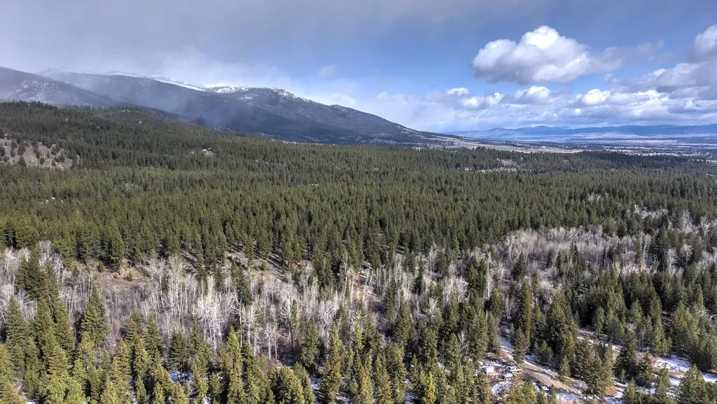 1065 Bear Creek Trail Victor MT 59875