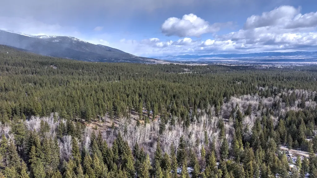 1065 Bear Creek Trail Victor MT 59875