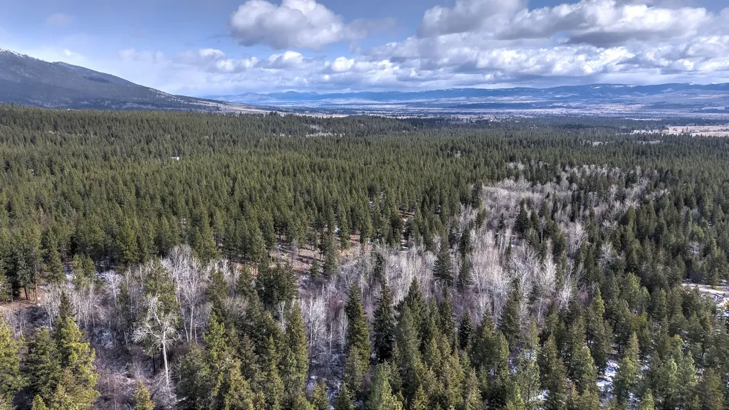 1065 Bear Creek Trail Victor MT 59875