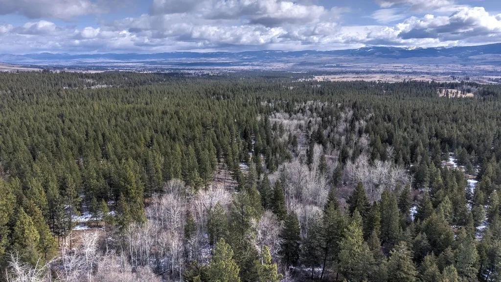 1065 Bear Creek Trail Victor MT 59875