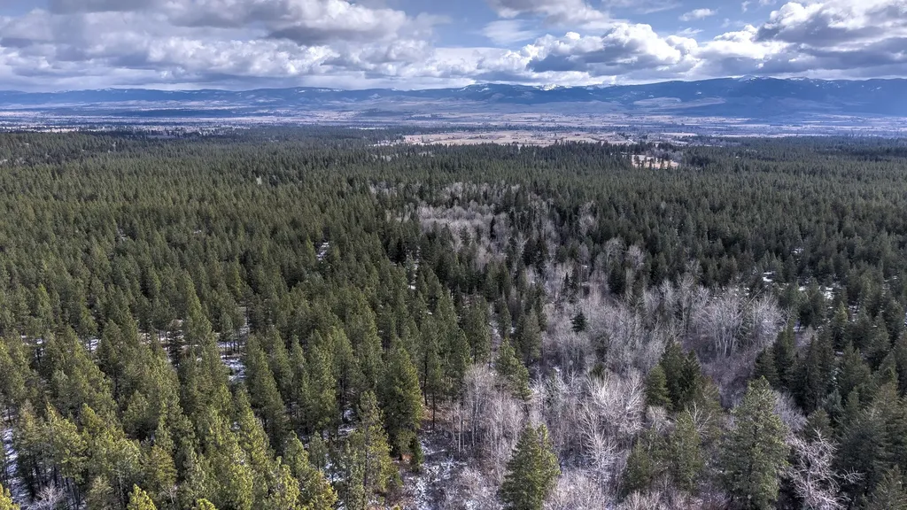 1065 Bear Creek Trail Victor MT 59875