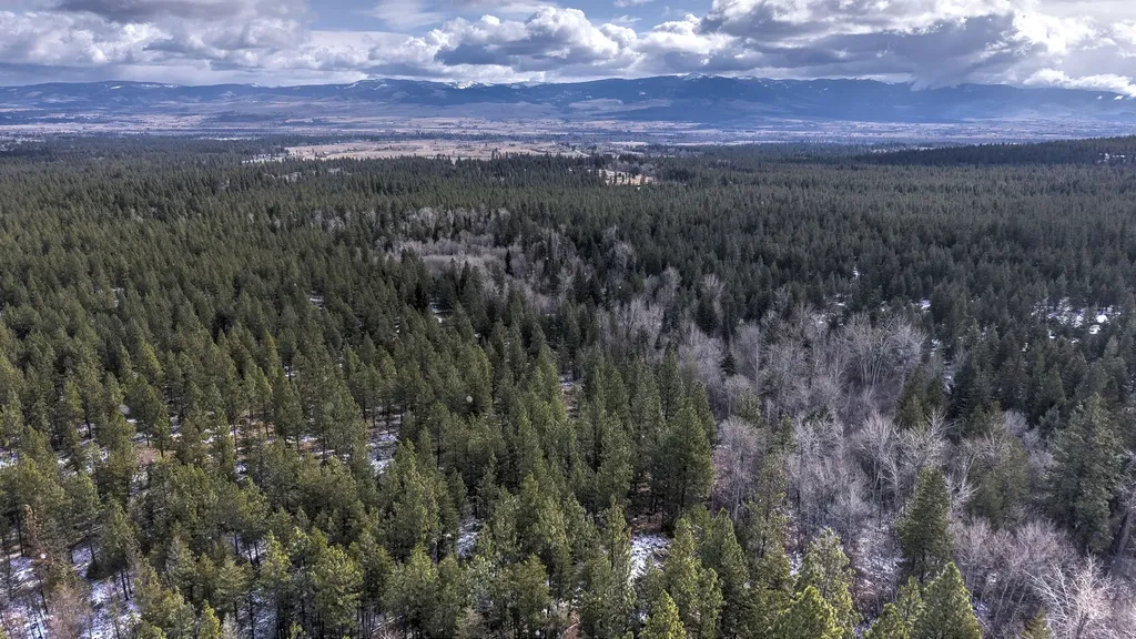 1065 Bear Creek Trail Victor MT 59875