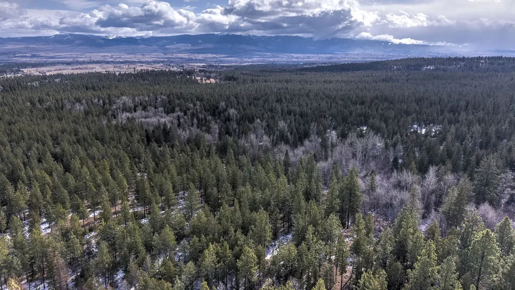 1065 Bear Creek Trail Victor MT 59875