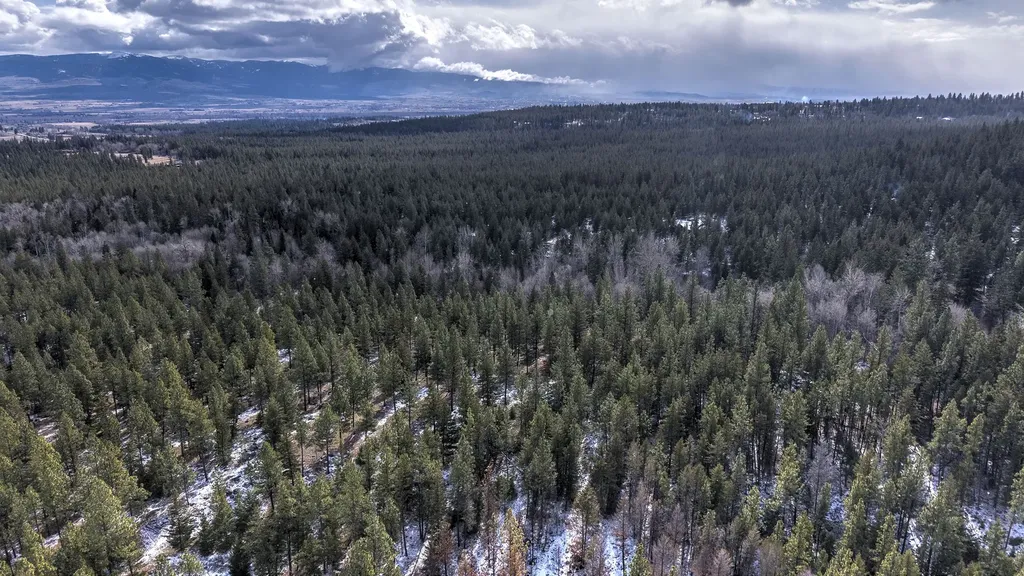 1065 Bear Creek Trail Victor MT 59875