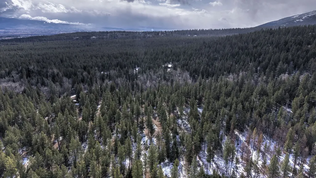 1065 Bear Creek Trail Victor MT 59875