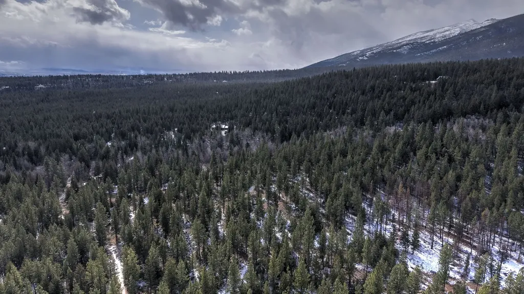 1065 Bear Creek Trail Victor MT 59875