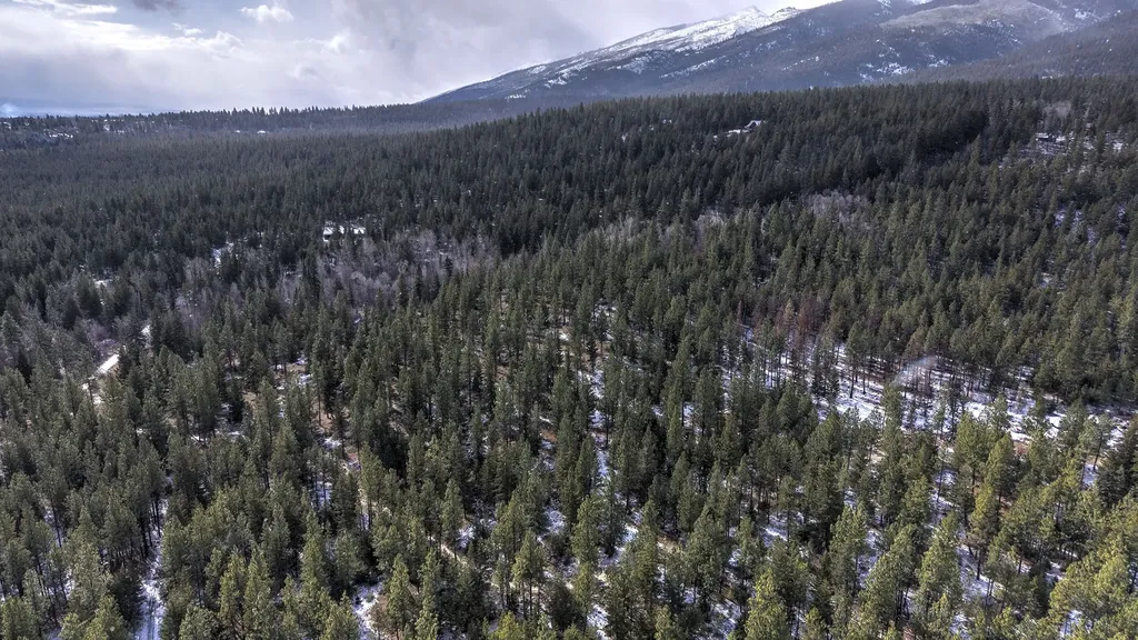1065 Bear Creek Trail Victor MT 59875