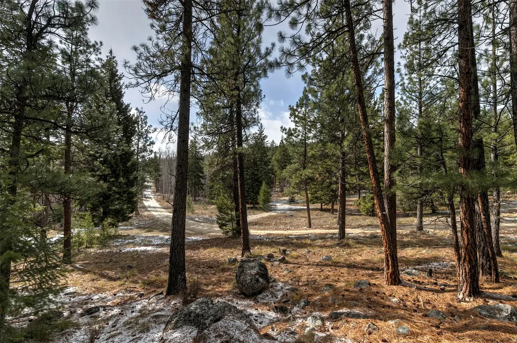 1065 Bear Creek Trail Victor MT 59875