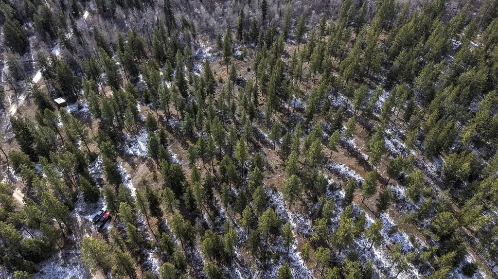 1065 Bear Creek Trail Victor MT 59875