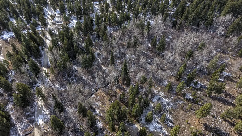 1065 Bear Creek Trail Victor MT 59875