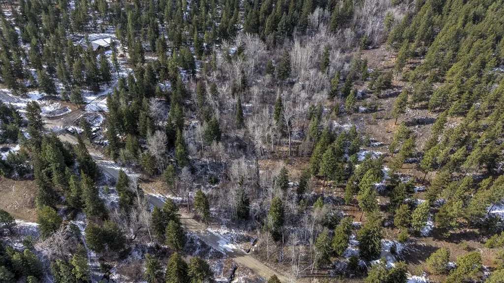 1065 Bear Creek Trail Victor MT 59875