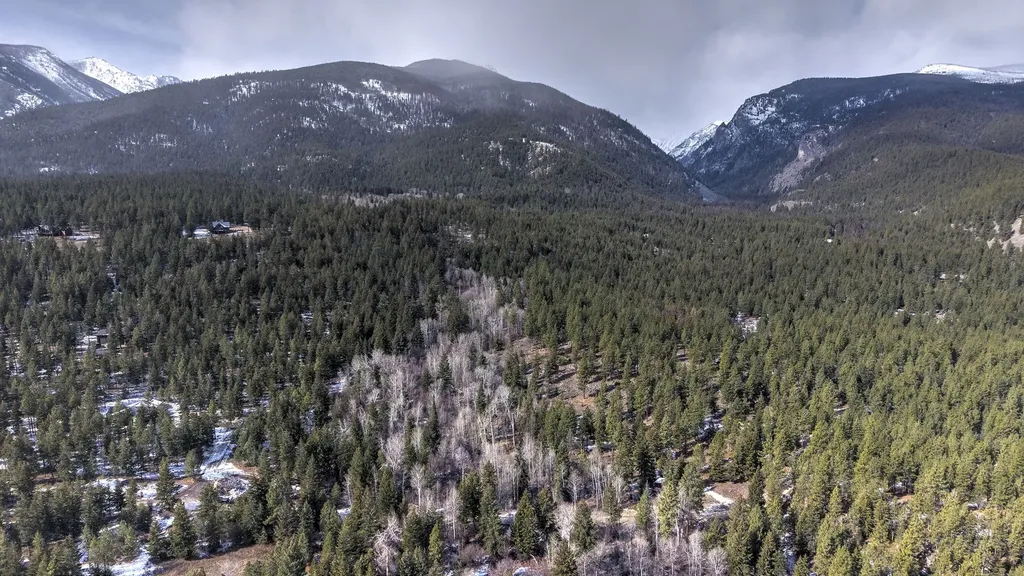 1065 Bear Creek Trail Victor MT 59875