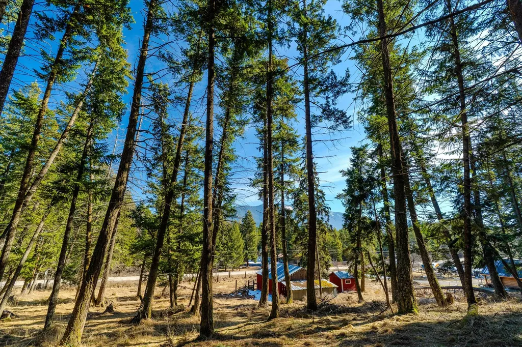 Nhn 4th Avenue Columbia Falls MT 59912