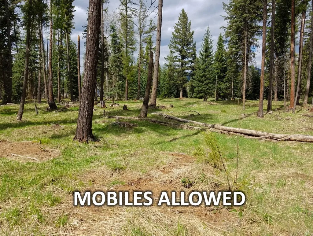 137 Fallen Bear Lane Libby MT 59923