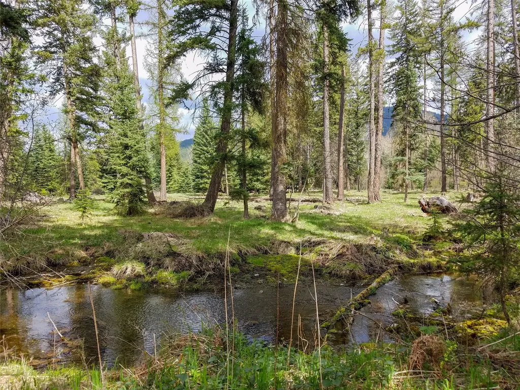 137 Fallen Bear Lane Libby MT 59923