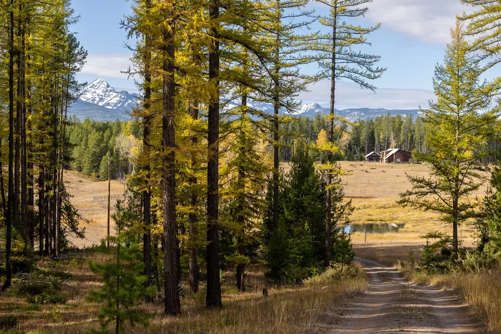 699 Glacier-elk Creek Road Condon MT 59826