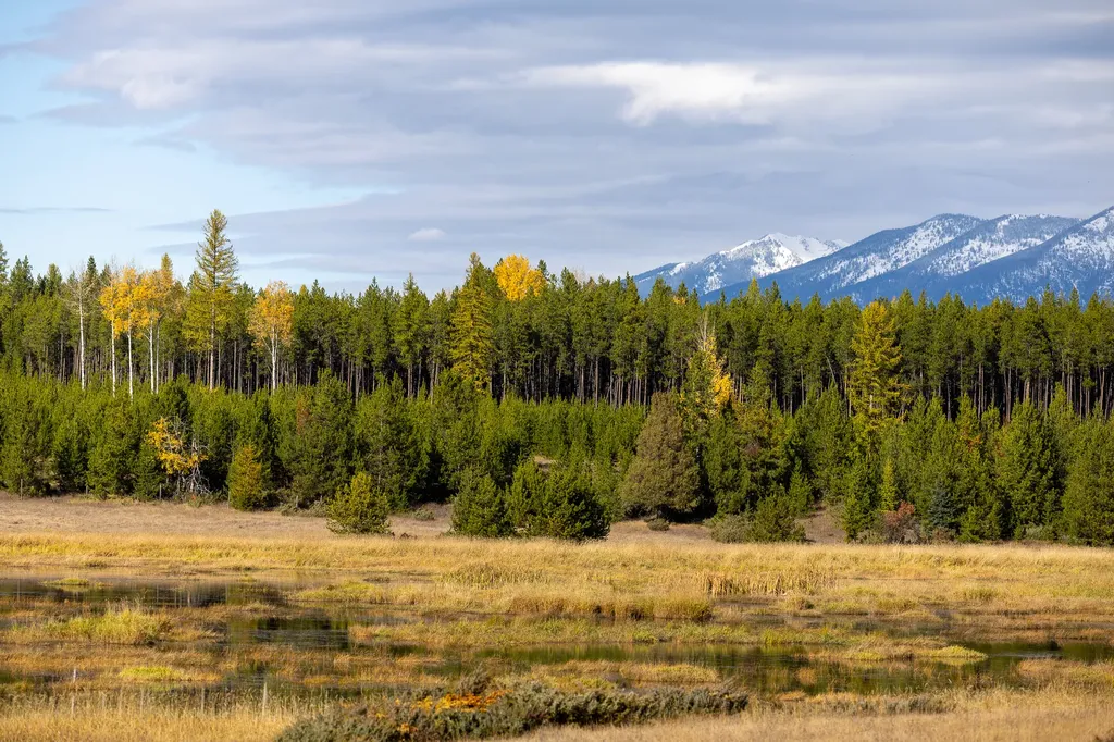 699 Glacier-elk Creek Road Condon MT 59826