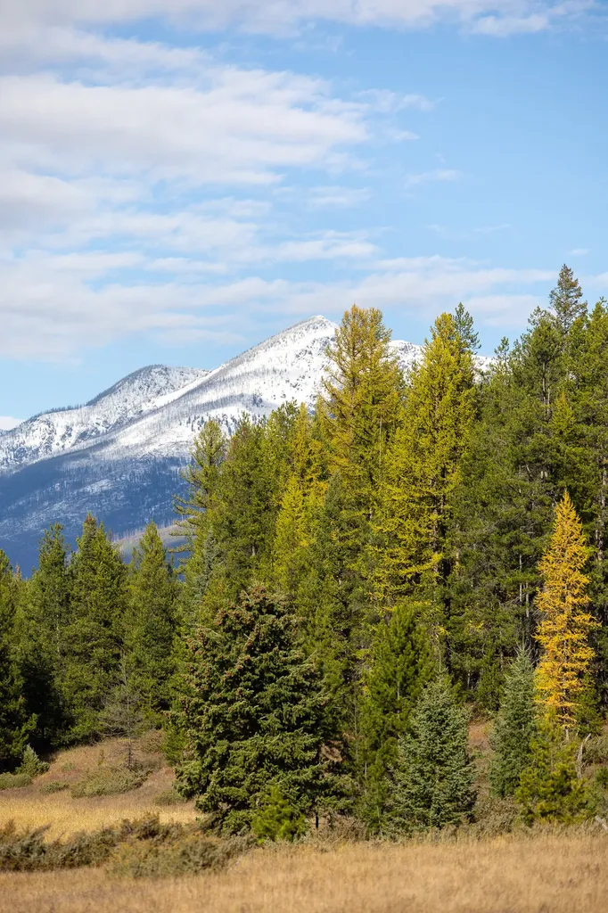 699 Glacier-elk Creek Road Condon MT 59826