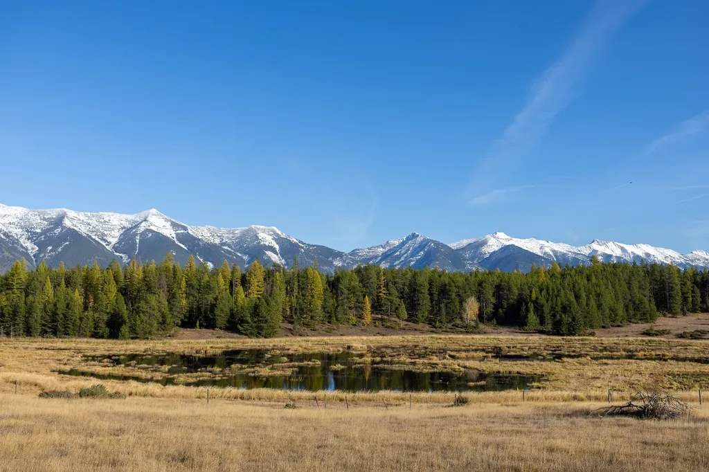 699 Glacier-elk Creek Road Condon MT 59826
