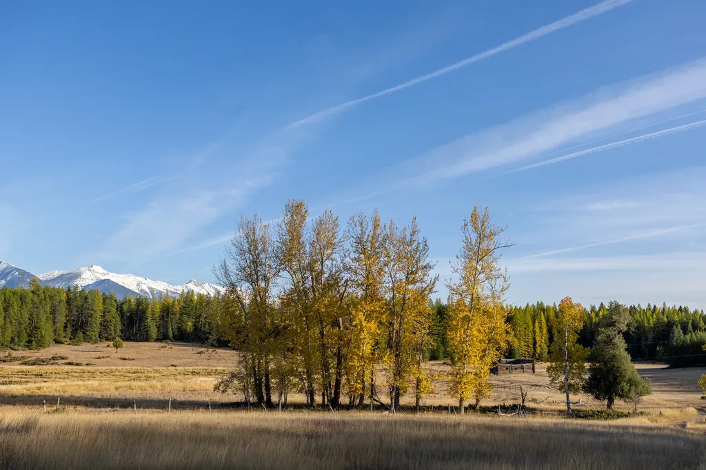 699 Glacier-elk Creek Road Condon MT 59826