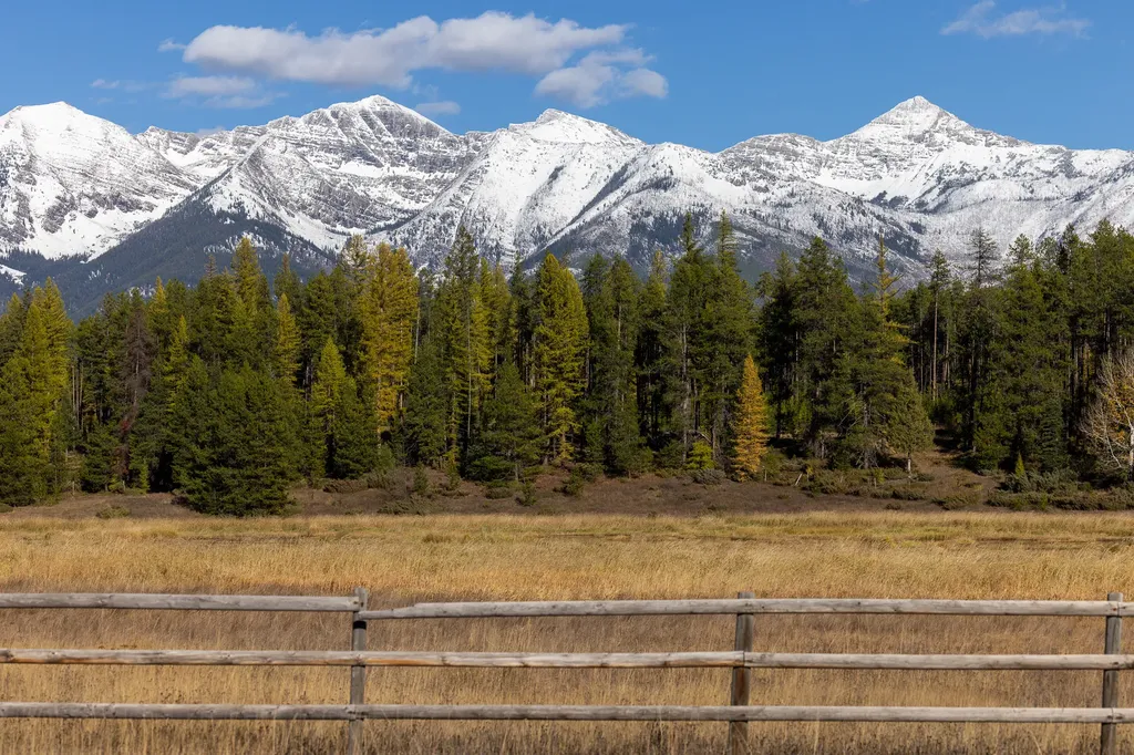 699 Glacier-elk Creek Road Condon MT 59826