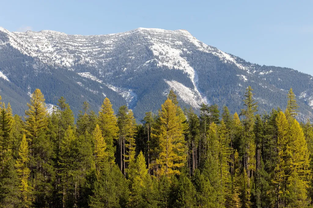 699 Glacier-elk Creek Road Condon MT 59826
