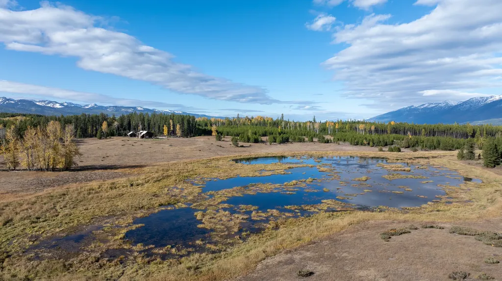 699 Glacier-elk Creek Road Condon MT 59826