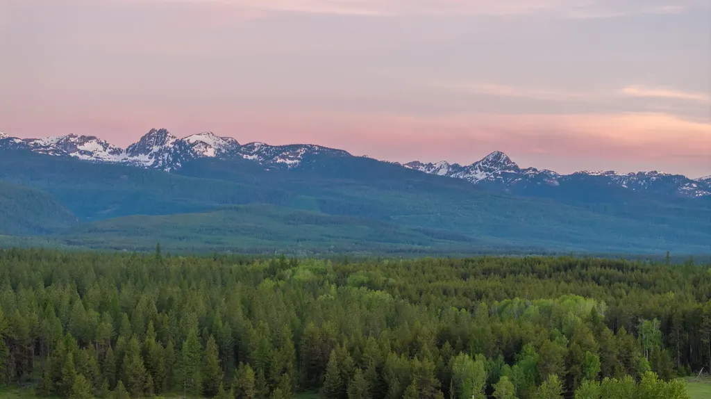 699 Glacier-elk Creek Road Condon MT 59826