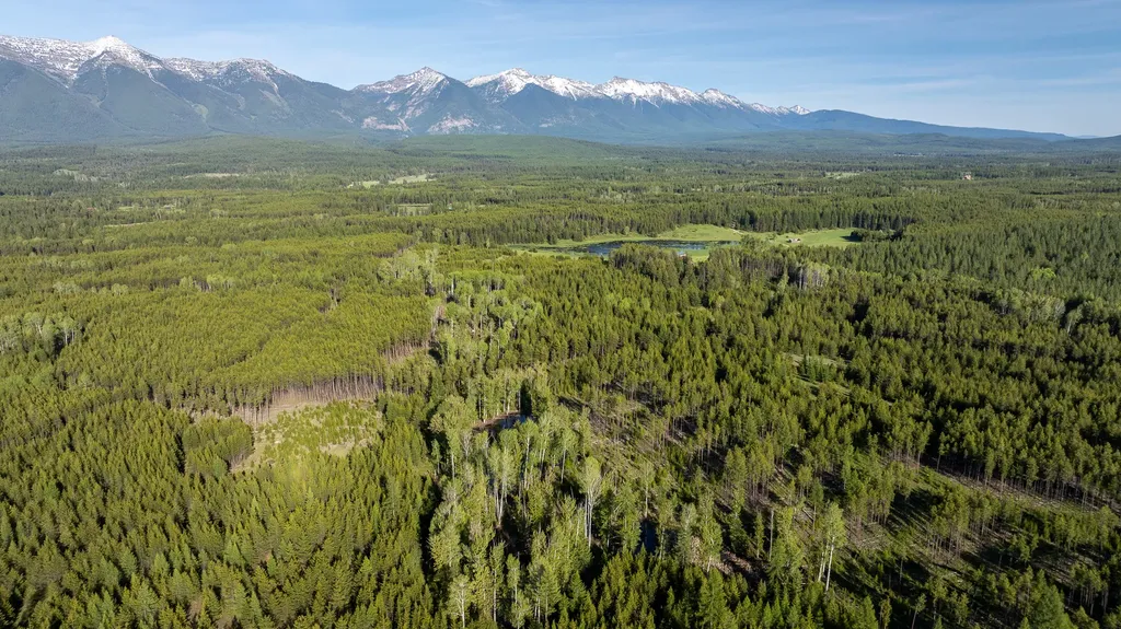 699 Glacier-elk Creek Road Condon MT 59826
