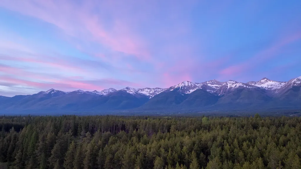 699 Glacier-elk Creek Road Condon MT 59826