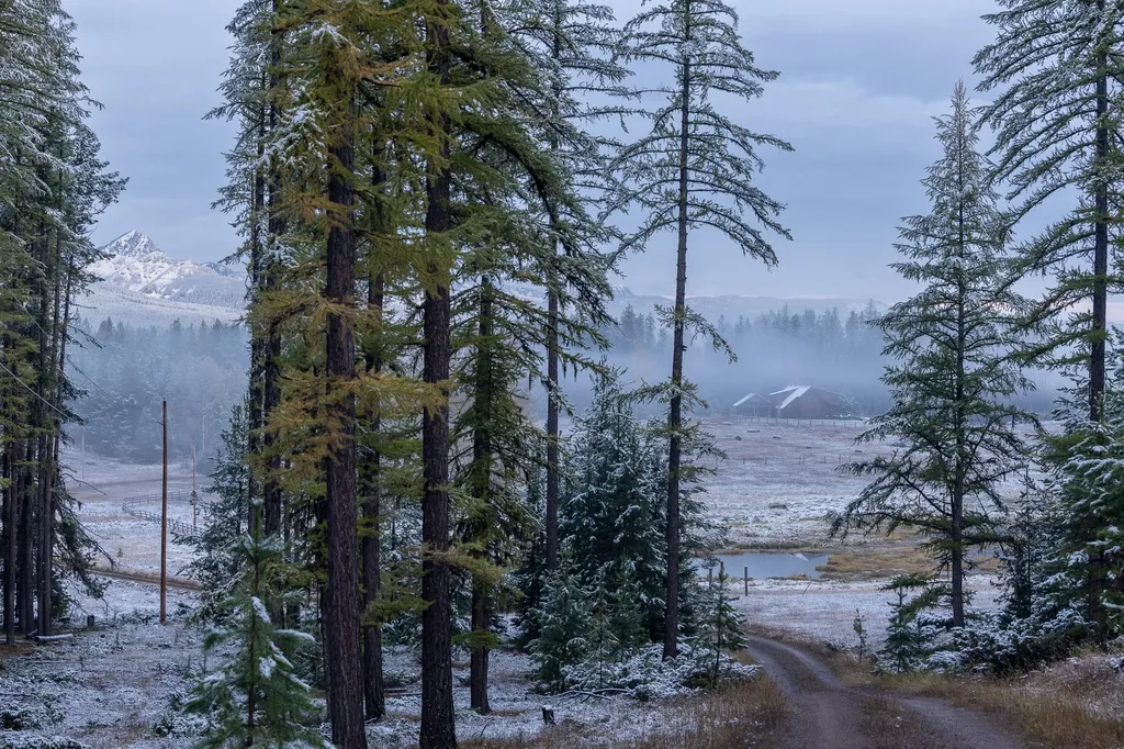 699 Glacier-elk Creek Road Condon MT 59826
