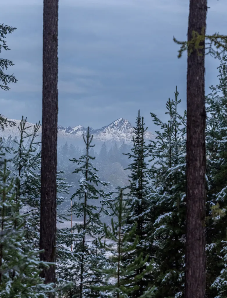 699 Glacier-elk Creek Road Condon MT 59826