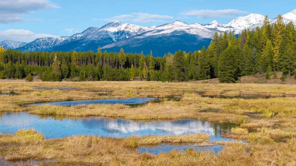 699 Glacier-elk Creek Road Condon MT 59826