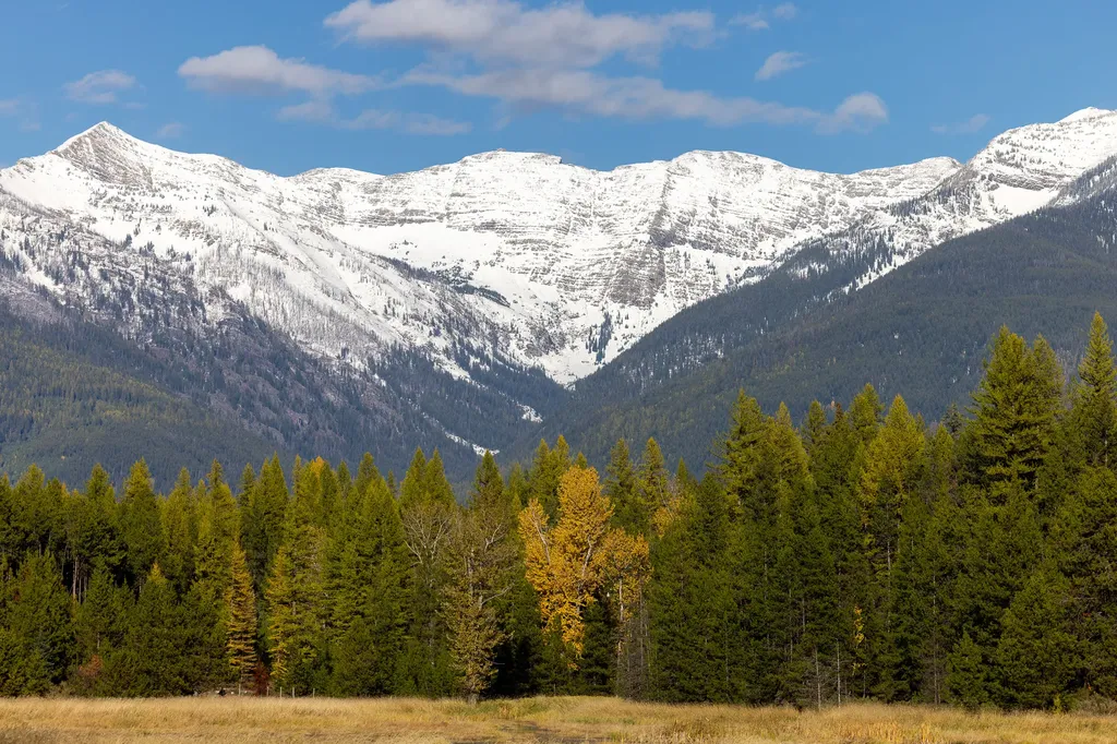 699 Glacier-elk Creek Road Condon MT 59826