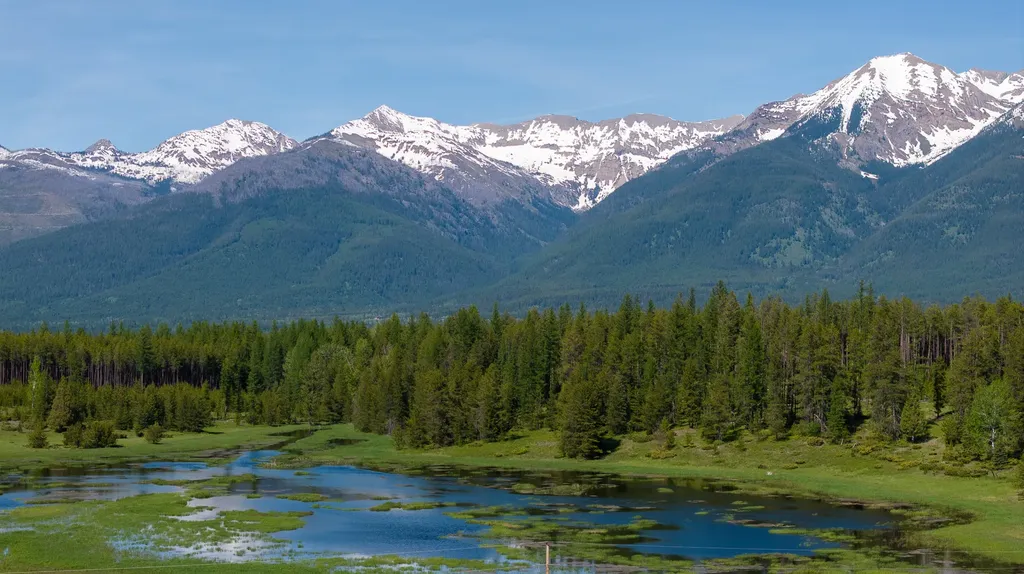 699 Glacier-elk Creek Road Condon MT 59826
