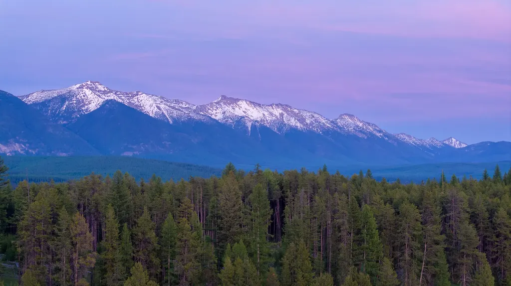 699 Glacier-elk Creek Road Condon MT 59826
