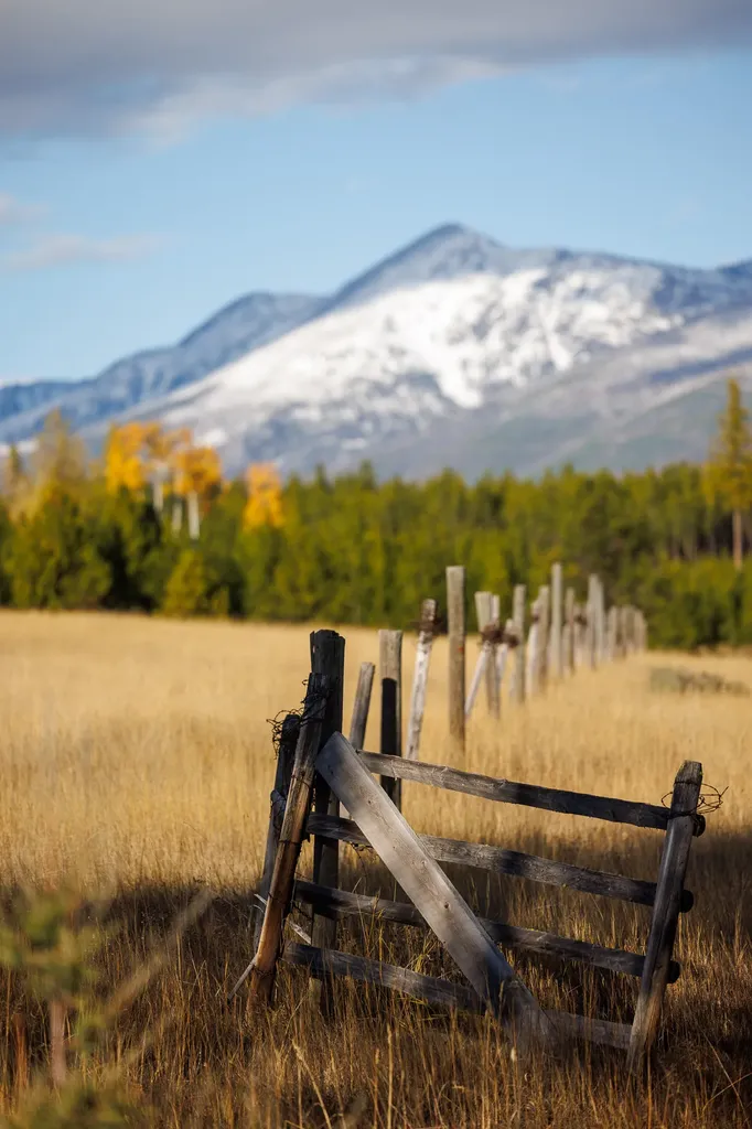 699 Glacier-elk Creek Road Condon MT 59826