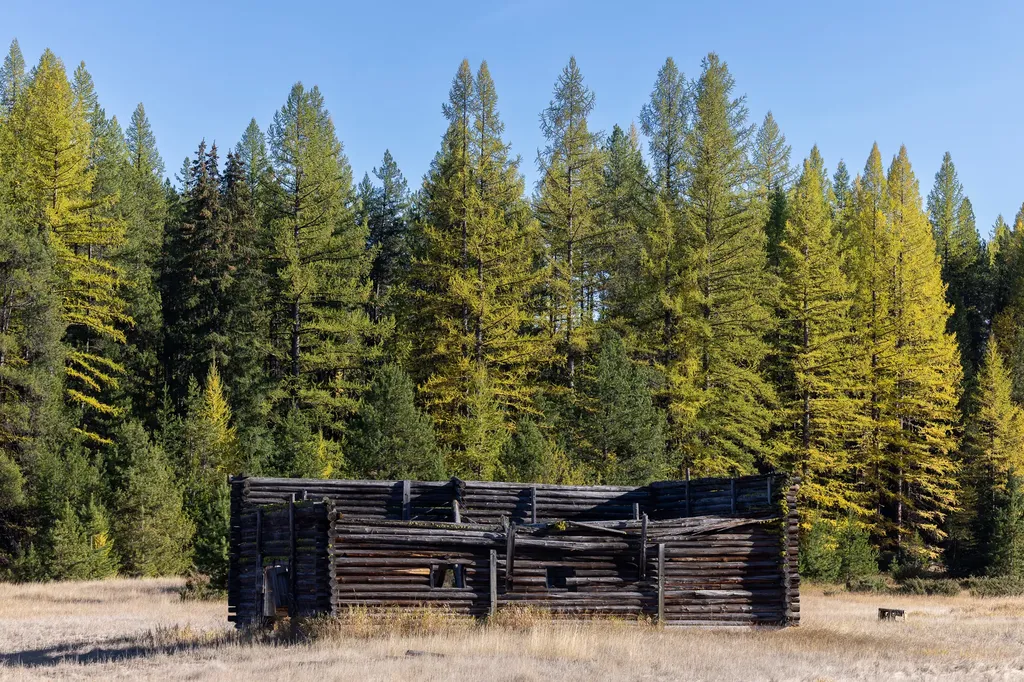 699 Glacier-elk Creek Road Condon MT 59826