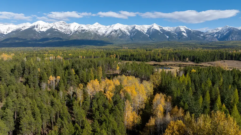 699 Glacier-elk Creek Road Condon MT 59826