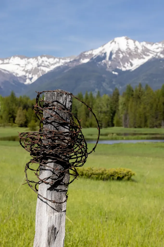 699 Glacier-elk Creek Road Condon MT 59826