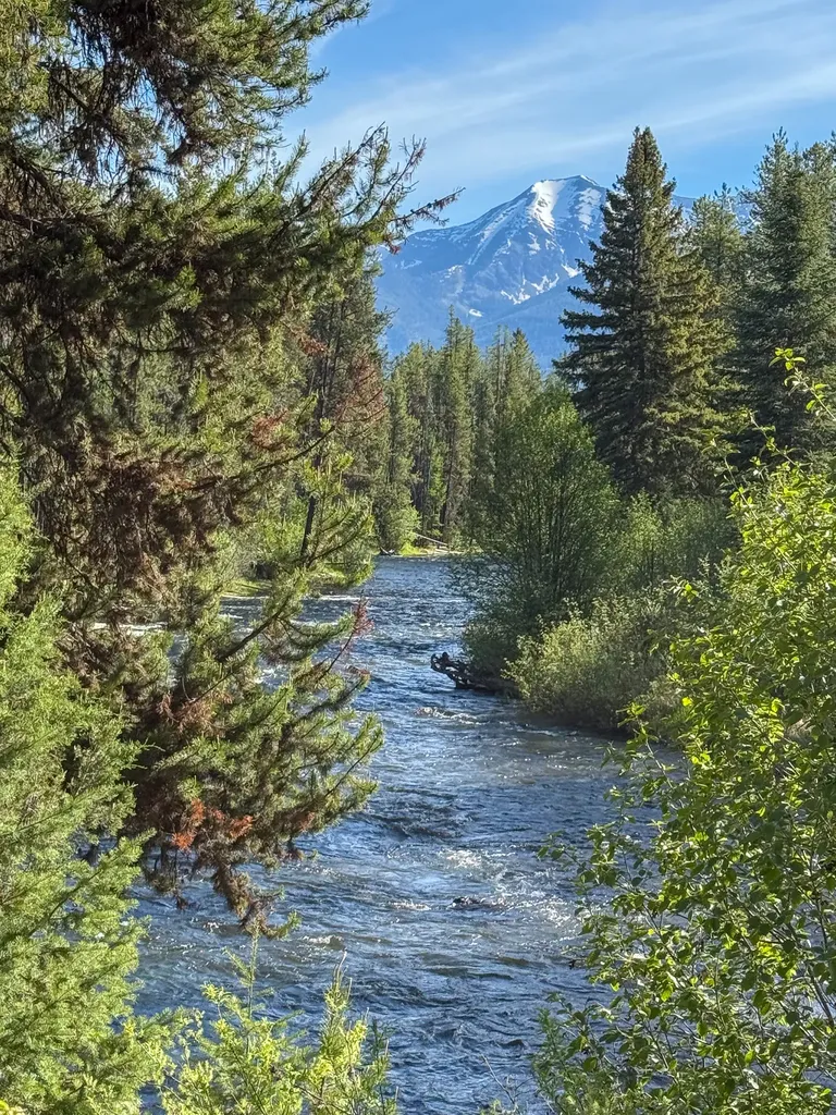 699 Glacier-elk Creek Road Condon MT 59826