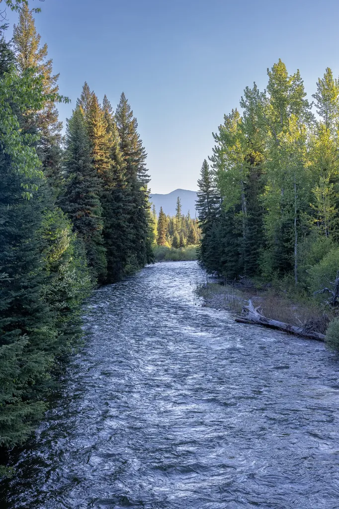 699 Glacier-elk Creek Road Condon MT 59826