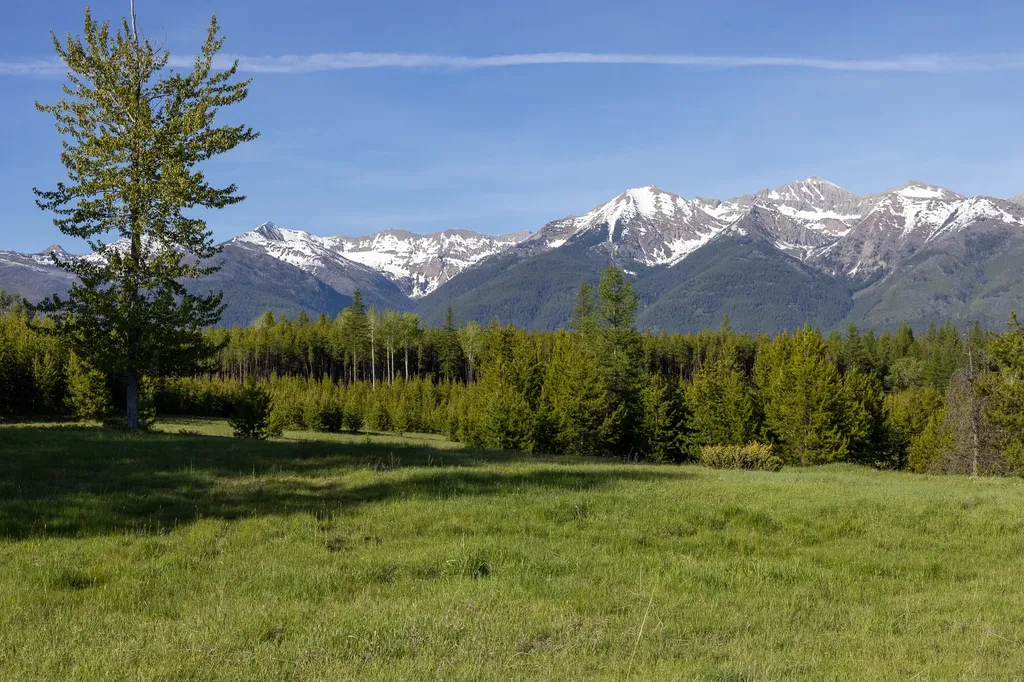 699 Glacier-elk Creek Road Condon MT 59826