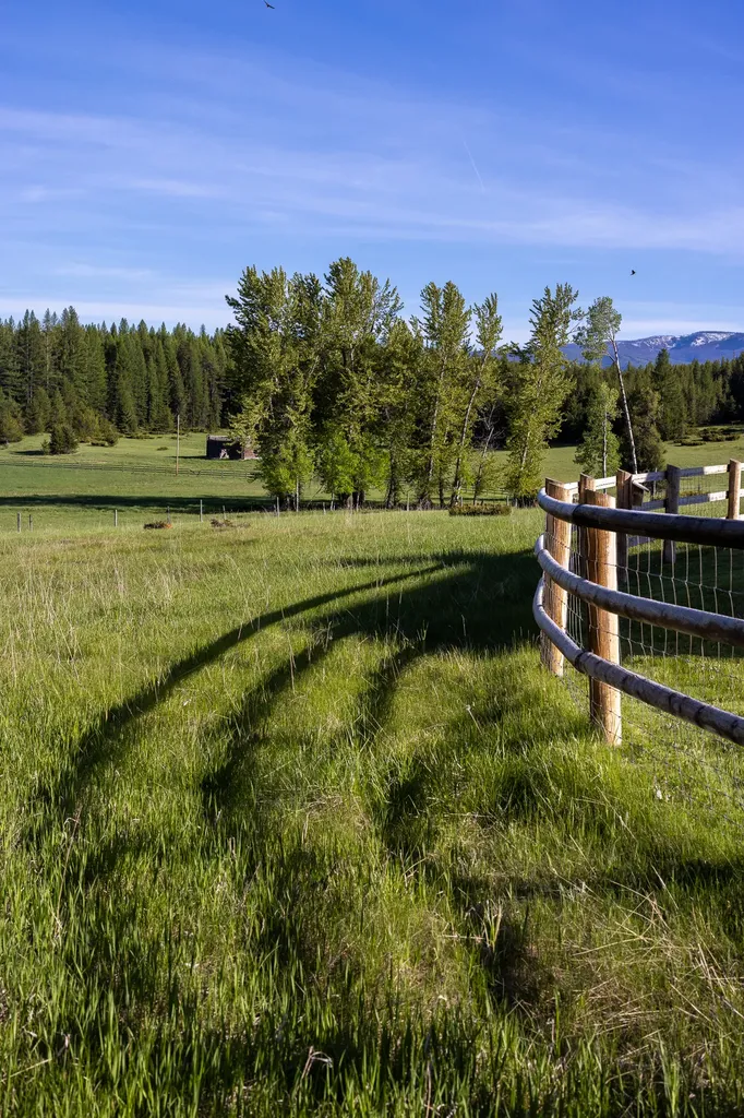699 Glacier-elk Creek Road Condon MT 59826