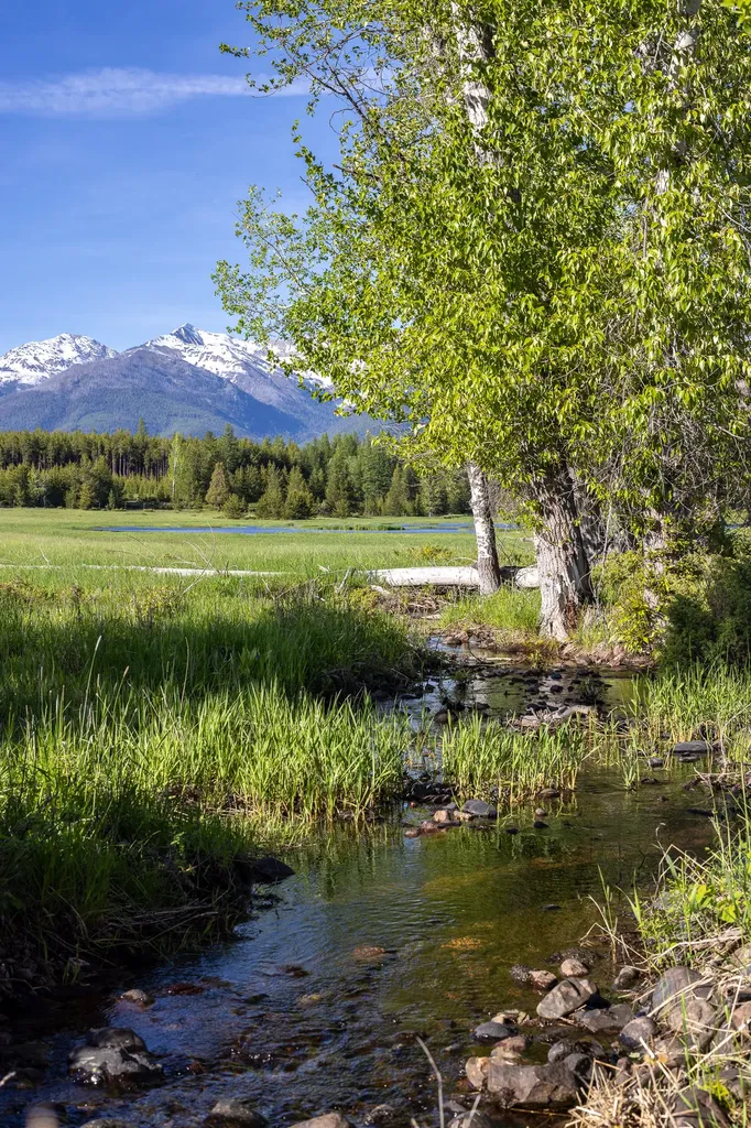 699 Glacier-elk Creek Road Condon MT 59826